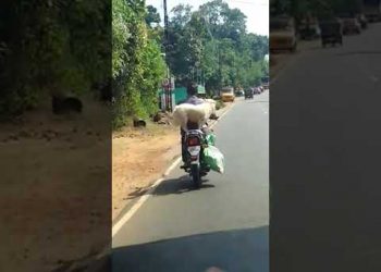 ഹെൽമറ്റ് ഇല്ലാതെ നായയെ പുറകിൽ ഇരുത്തി കോട്ടയം കെ കെ റോഡിലൂടെ  ബൈക്ക് യാത്ര. പിഴയടക്കാൻ യുവാവിനും, നായയ്ക്കും മോട്ടോർ വാഹന വകുപ്പ് നോട്ടീസ്.  കോട്ടയത്ത് നടന്ന സംഭവത്തിന്റെ വീഡിയോ കാണാം