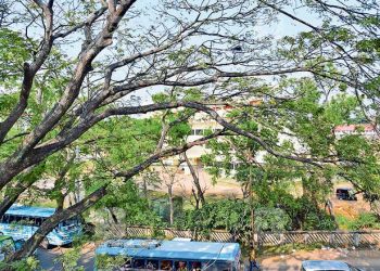 കോട്ടയം നാഗമ്പടത്തുകൂടെ കുറച്ചുനാൾ ഭയം കൂടാതെ സഞ്ചരിക്കാം. കാരണം ഇതാണ്