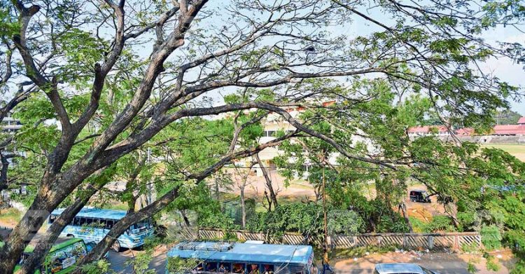 കോട്ടയം നാഗമ്പടത്തുകൂടെ കുറച്ചുനാൾ ഭയം കൂടാതെ സഞ്ചരിക്കാം. കാരണം ഇതാണ്