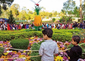 കോട്ടയത്ത് പുഷ്പമേള നാളെ മുതൽ ആരംഭിക്കും; രാവിലെ 9 മുതൽ രാത്രി 8 വരെയാണ് പ്രദർശനം.