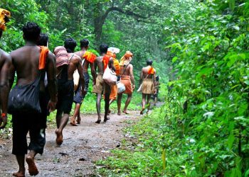 ശബരിമല കാനന പാതയിൽ കാട്ടാനക്കൂട്ട ആക്രമണം. അയ്യപ്പ ഭക്തന് ദാരുണാന്ത്യം. ജാഗ്രത പാലിക്കുക..