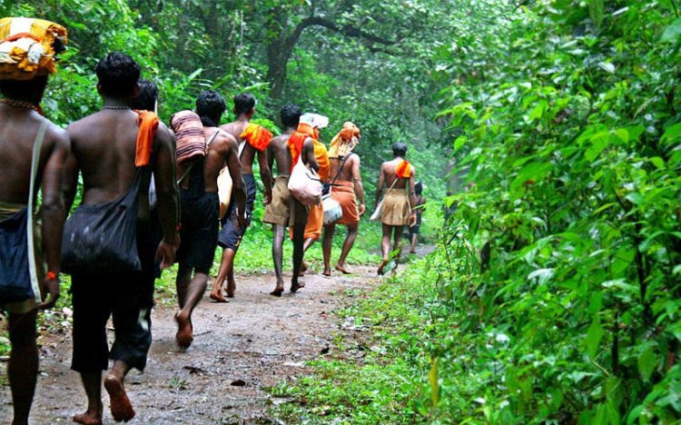 ശബരിമല കാനന പാതയിൽ കാട്ടാനക്കൂട്ട ആക്രമണം. അയ്യപ്പ ഭക്തന് ദാരുണാന്ത്യം. ജാഗ്രത പാലിക്കുക..