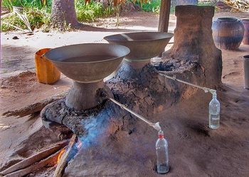 യുവതി തനിച്ച് താമസിക്കുന്ന വീട്ടില്‍ സ്ഥിരമായി പുരുഷന്മാര്‍ ; നിരീക്ഷണത്തിനൊടുവില്‍  പിടിയിലായത് ഷക്കീല; സംഭവം കോട്ടയത്ത് 