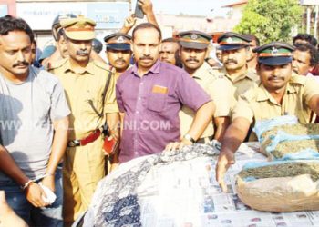 കോട്ടയത്ത് വൻ  കഞ്ചാവ് വേട്ട; അന്തർ സംസ്ഥാന സർവീസ് നടത്തുന്ന സ്വകാര്യ ബസിൽ  നിന്നും 10 കിലോ  കഞ്ചാവ് പിടിച്ചെടുത്തത് കോട്ടയം കോടിമതയിൽ നിന്ന്; ഒരാൾ പിടിയിൽ