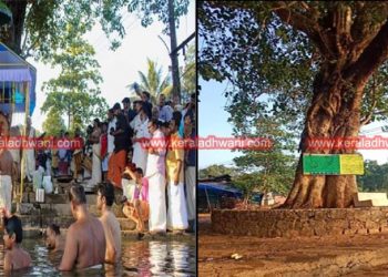 ശ്രീ മാങ്ങാനത്തപ്പന്റെ മണ്ണിലെ ആൽമരം വെട്ടിമാറ്റാൻ നീക്കം; വ്യാപക പ്രതിക്ഷേധവുമായി മാങ്ങാനത്തെ ഭക്തജനങ്ങൾ; 