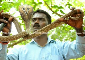 പാമ്പ് കടിയേറ്റ വാവ സുരേഷ് അതീവ ഗുരുതരാവസ്ഥയിൽ; കടിയേറ്റത് പാമ്പുകളുടെ തോഴന്; പ്രാർത്ഥനകളോടെ കേരളം; അപകട നില തരണം ചെയ്തതായി ഡോക്ടർമാർ; 72 മണിക്കൂർ നിരീക്ഷണത്തിൽ