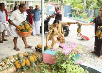 കോട്ടയത്തെ കൈതച്ചക്ക ചലഞ്ച്; കൈതച്ചക്ക കര്‍ഷകര്‍ക്ക് പ്രതീക്ഷയുടെ വഴി തുറക്കുന്നു