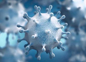 കൊവിഡ് 19; വൈറസ് ബാധമൂലം ഡല്‍ഹിയില്‍ ഒരു മലയാളി കൂടി മരിച്ചു