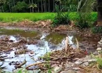 കളത്തിൽ പടി ഇഞ്ചിക്കലാ കലുങ്ക് ഭാഗത്ത് തോട് ശുചീകരിച്ച് നീരൊഴുക്ക് സുഗമമാക്കുന്ന പദ്ധതി ആരംഭിച്ചു; പള്ളം ബ്ലോക്ക് ആരോഗ്യ സ്റ്റാന്റിംഗ് കമ്മറ്റി ചെയർമാൻ വിനോദ് പെരിഞ്ചേരി നേതൃത്വം വഹിച്ചു