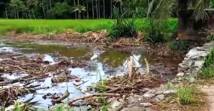 കളത്തിൽ പടി ഇഞ്ചിക്കലാ കലുങ്ക് ഭാഗത്ത് തോട് ശുചീകരിച്ച് നീരൊഴുക്ക് സുഗമമാക്കുന്ന പദ്ധതി ആരംഭിച്ചു; പള്ളം ബ്ലോക്ക് ആരോഗ്യ സ്റ്റാന്റിംഗ് കമ്മറ്റി ചെയർമാൻ വിനോദ് പെരിഞ്ചേരി നേതൃത്വം വഹിച്ചു