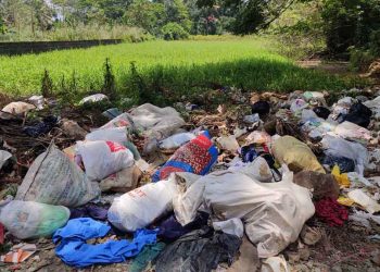 മാലിന്യ കൂമ്പാരമായി മാങ്ങാനം !! കോഴി വെയ്സ്റ്റ് മുതൽ ഗ്ലൗസ്, നാപ്കിൻസ് വരെ കൊണ്ട് തള്ളുന്നത് മാങ്ങാനം തുരുത്തേൽപാലത്തിനു സമീപം !!