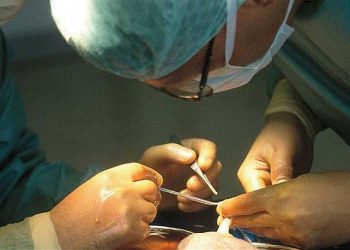 സംസ്ഥാനത്തെ 35 അവയവമാറ്റങ്ങള്‍ അനധികൃതം; വിശദമായ അന്വേഷണത്തിന് ക്രൈംബ്രാഞ്ച്