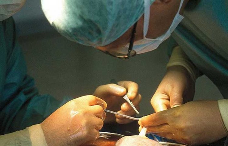 സംസ്ഥാനത്തെ 35 അവയവമാറ്റങ്ങള്‍ അനധികൃതം; വിശദമായ അന്വേഷണത്തിന് ക്രൈംബ്രാഞ്ച്