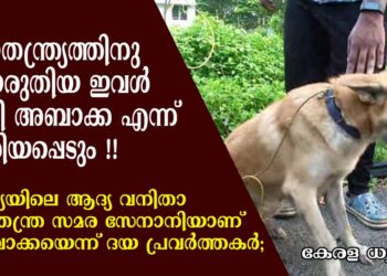 കാറിൽ കെട്ടി വലിച്ച്  സ്വാതന്ത്ര്യത്തിനു വേണ്ടി പൊരുതിയ ഇവൾ ഇനി അബാക്ക എന്ന് അറിയപ്പെടും; ഇന്ത്യയിലെ ആദ്യ വനിതാ സ്വാതന്ത്ര സമര സേനാനിയാണ് അബാക്കയെന്ന് ദയയുടെ പ്രവർത്തകർ ; വീഡിയോ കാണാം