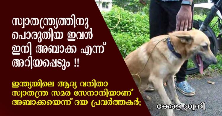 കാറിൽ കെട്ടി വലിച്ച് സ്വാതന്ത്ര്യത്തിനു വേണ്ടി പൊരുതിയ ഇവൾ ഇനി അബാക്ക എന്ന് അറിയപ്പെടും; ഇന്ത്യയിലെ ആദ്യ വനിതാ സ്വാതന്ത്ര സമര സേനാനിയാണ് അബാക്കയെന്ന് ദയയുടെ പ്രവർത്തകർ ; വീഡിയോ കാണാം