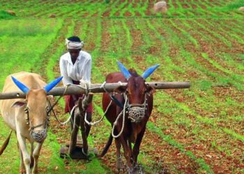 ചൊവ്വാഴ്ച അഖിലേന്ത്യ ഹർത്താൽ; മോദിയുടെ കോലം കത്തിക്കുമെന്ന് കർഷക സംഘടനകൾ