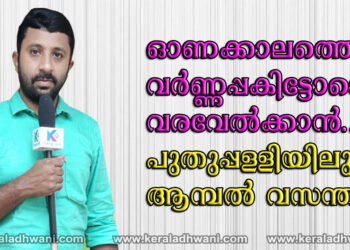 ഓണക്കാലത്തെ വരവേൽക്കാൻ കോട്ടയം പുതുപ്പള്ളിയിലും ആമ്പൽ വസന്തം തയ്യാറായി