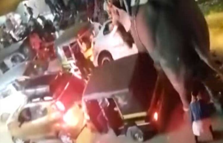 പാലക്കാട് മാത്തൂര്‍ തെരുവത്ത് പള്ളിയിലെ ആണ്ടു നേര്‍ച്ചയ്ക്കിടയില്‍ ആന വിരണ്ടോടി; നിരവധി വാഹനങ്ങള്‍ തകര്‍ത്തു