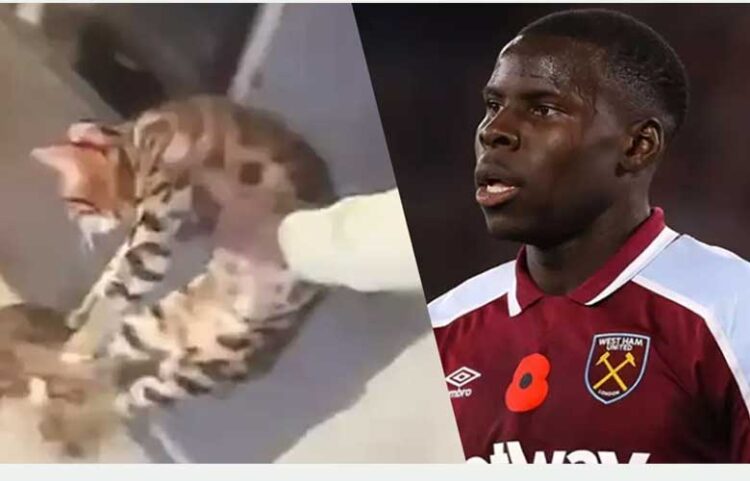 പൂച്ചയോട് ക്രൂരത; ഫ്രഞ്ച് ഫുട്‌ബോള്‍ താരത്തിന്റെ കരാര്‍ അഡിഡാസ് റദ്ദാക്കി