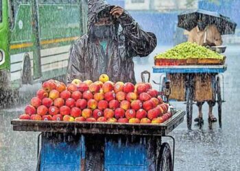 മഴ മുന്നറിയിപ്പ്; ഏഴ് ജില്ലകളില് ഇന്ന് യെല്ലോ അലേര്ട്ട്, മത്സ്യബന്ധനത്തിന് വിലക്കില്ല