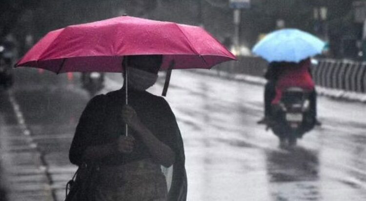 മഴ വരുന്നു; 11 ജില്ലകളില്‍ യെല്ലോ അലേര്‍ട്ട്