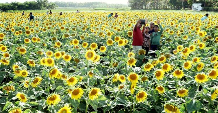 സുന്ദരപാണ്ഡ്യപുരം; ഈ ഗ്രാമത്തിലേക്ക് ഇപ്പോൾ മലയാളികളുടെ ഒഴുക്ക്