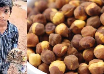 അടുത്തവീട്ടിലെ ഒന്നര വയസ്സുകാരന് ചികിത്സയ്ക്ക് പണം വേണം; കടല വിറ്റ് പണം കണ്ടെത്തി മലപ്പുറത്തെ നാലാം ക്ലാസുകാരന്റെ നന്മ; അഭിനന്ദിച്ച് നാട്