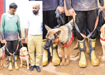 ദു​ര​ന്ത​ഭൂ​മി​യി​ൽ വ​ഴി​കാ​ട്ടി​ക​ളാ​യി ഡോ​ഗ് സ്ക്വാ​ഡു​ക​ൾ; ക​ർ​മ​രം​ഗ​ത്തു​ള്ള​ത് 11 നാ​യ​ക​ൾ