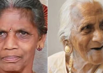 വീട്ടുമുറ്റത്ത് നില്‍ക്കുമ്പോള്‍ കടന്നല്‍ക്കൂട്ടത്തിന്റെ ആക്രമണം, അമ്മയ്ക്കും മകള്‍ക്കും ദാരുണാന്ത്യം