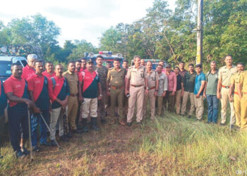 പു​ലി​ഭീ​തി​യി​ൽ നാ​ട്ടു​കാ​ർ; വെ​ള്ളോ​റ, ക​ട​വ​നാ​ട് പ്ര​ദേ​ശ​ങ്ങ​ളി​ൽ തെ​ര​ച്ചി​ൽ ശ​ക്ത​മാ​ക്കി വ​നം വ​കു​പ്പ്