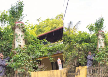 മു​ള​കു​ചെ​ടി​ക്ക് ഉ​യ​രം 16 അ​ടി; പ്ര​ദേ​ശ​വാ​സി​ക​ളെ​യും കാ​ര്‍​ഷി​ക ശാ​സ്ത്ര​ജ്ഞ​രെയും അ​ത്ഭു​ത​പ്പെ​ടു​ത്തി ഏ​ബ്ര​ഹാ​മി​ന്‍റെ മു​റ്റ​ത്തെ മു​ള​ക് ചെ​ടി