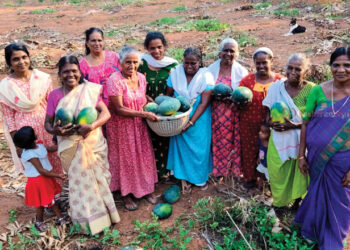 ത​ണ്ണി​മ​ത്ത​ൻ കൃ​ഷി​യി​ൽ നീ​ണ്ടൂ​ര്‍ കു​ടും​ബ​ശ്രീ അം​ഗ​ങ്ങ​ളു​ടെ വി​ജ​യ​ഗാ​ഥ