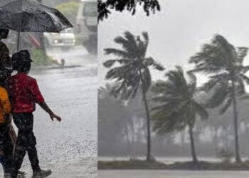 കേരളത്തിൽ ഇന്നും ഒറ്റപ്പെട്ട ശക്തമായ മഴയ്ക്ക് സാധ്യത; അടുത്ത അഞ്ച് ദിവസം മഴ തുടരുമെന്നും കാലാവസ്ഥ വകുപ്പ്
