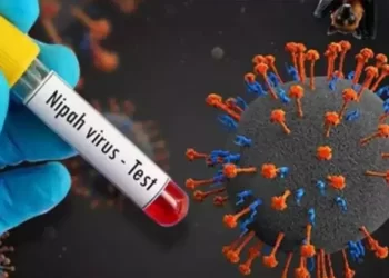 6 ജില്ലകളിൽ നിപ ജാഗ്രത; കൂട്ടം കൂടരുത്; കണ്ടെയ്ൻമെന്റ് സോണുകളിലെ വിദ്യാഭ്യാസ സ്ഥാപനങ്ങൾ അട ക്കും