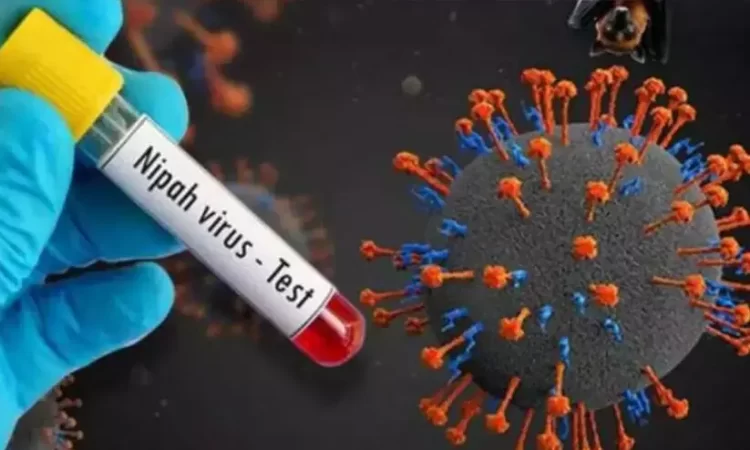 6 ജില്ലകളിൽ നിപ ജാഗ്രത; കൂട്ടം കൂടരുത്; കണ്ടെയ്ൻമെന്റ് സോണുകളിലെ വിദ്യാഭ്യാസ സ്ഥാപനങ്ങൾ അട ക്കും