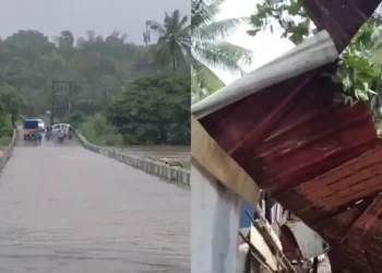 ശക്തമായ മഴയും കാറ്റും, പാലക്കാ‌ട് ജില്ലയിൽ വ്യാപക നാശനഷ്ടം, വിവിധ ഇടങ്ങളിൽ വൈദ്യുതി വിച്ഛേദിച്ചു