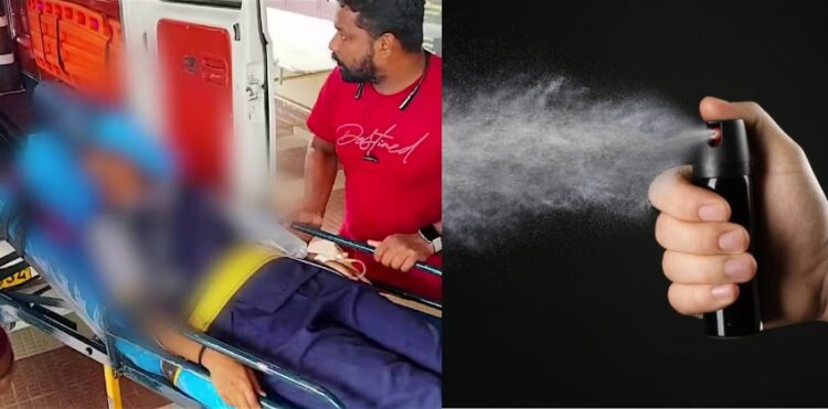 ഇടുക്കിയിൽ സ്‌കൂൾ വിദ്യാർത്ഥികൾ തമ്മിൽ സംഘർഷം,പെപ്പർ സ്പ്രേ ആക്രമണവുമായി മാതാപിതാക്കൾ; പരുക്കേറ്റ 8 കുട്ടികൾ ചികിത്സയിൽ