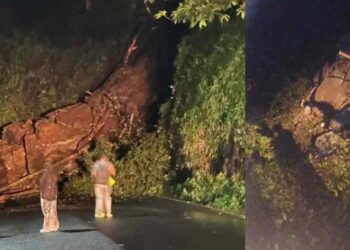 താമരശ്ശേരി ചുരത്തിലൂടെ ഒറ്റ ലൈനായി ചെറുവാഹനങ്ങൾ കടത്തിവിടും; ഭാരമേറിയ വാഹനങ്ങൾ അനുവദിക്കില്ല