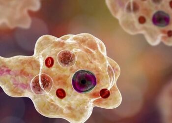 അമീബിക് മസ്തിഷ്‌ക ജ്വരം; മൂന്ന് മാസം പ്രായമായ കുഞ്ഞ് മരിച്ചു