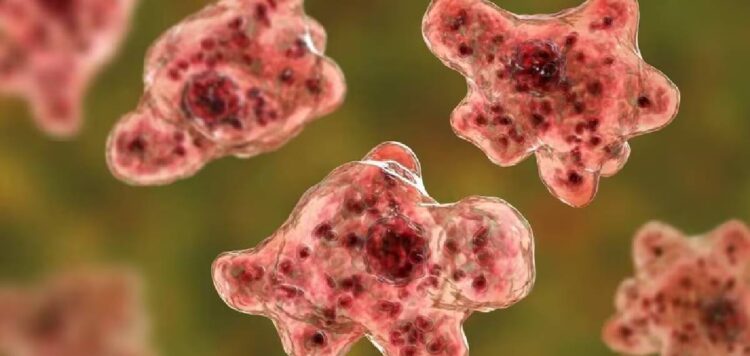 സംസ്ഥാനത്ത് ഒരാൾക്ക് കൂടി അമീബിക് മസ്തിഷ്ക ജ്വരം സ്ഥിരീകരിച്ചു; പാലക്കാട് സ്വദേശി ഗുരുതരാവസ്ഥയിൽ