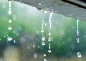 ചക്രവാതച്ചുഴി തീവ്ര ന്യൂനമർദ്ദമാകും;സംസ്ഥാനത്ത് വരും ദിവസങ്ങളിൽ മഴ സാധ്യത,നെടുങ്കണ്ടത്ത് ഉരുൾപൊട്ടിയതായി സംശയം