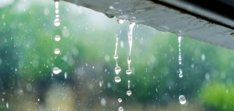 ചക്രവാതച്ചുഴി തീവ്ര ന്യൂനമർദ്ദമാകും;സംസ്ഥാനത്ത് വരും ദിവസങ്ങളിൽ മഴ സാധ്യത,നെടുങ്കണ്ടത്ത് ഉരുൾപൊട്ടിയതായി സംശയം