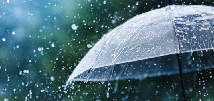 സംസ്ഥാനത്ത് ഇന്ന് കനത്ത മഴയ്ക്ക് സാധ്യത: 12 ജില്ലകളില്‍ യെല്ലോ അലേര്‍ട്ട്