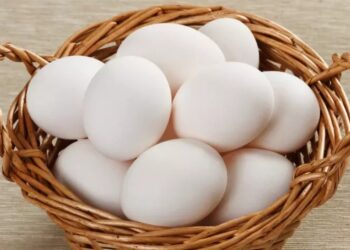 കോഴി മുട്ടയ്ക്ക് റെക്കോർഡ് വില ; ഒരു മുട്ടയ്ക്ക് 7 രൂപ 50 പൈസ