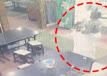 കൈവിലങ്ങില്ലാതെ ‘കൂളായി’ ബാലമുരുകൻ; രക്ഷപ്പെടുമ്പോൾ ധരിച്ചിരുന്നത് ചെക്ക് ഷര്ട്ട്; CCTV ദൃശ്യങ്ങൾ പുറത്ത്