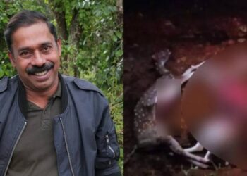 മരണകാരണം ആധി പിടിച്ച് ഹൃദയം നിലച്ചത്’; പുത്തൂരില് തെരുവുനായ ആക്രമണത്തില് മാനുകള് ചത്തതില് അരുണ് സക്കറിയ