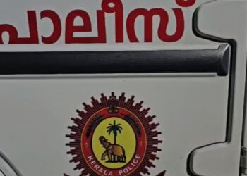 മോര്‍ഫ് ചെയ്ത് വീഡിയോ പ്രചരിപ്പിച്ചു; യുവനടിയുടെ പരാതിയില്‍ കേസെടുത്ത് സൈബര്‍ പൊലീസ്