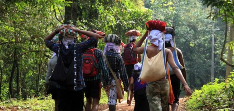 24 ശബരിമല തീര്‍ത്ഥാടകര്‍ വനത്തിനുള്ളില്‍ വഴിതെറ്റി കുടുങ്ങി; രക്ഷപ്പെടുത്താനുള്ള ശ്രമം തുടങ്ങി