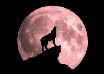 2026 -ലെ ആദ്യ പൂർണ്ണചന്ദ്രൻ ഒരു ‘സൂപ്പർമൂൺ’ ആയി ഇന്ന് ദൃശ്യമാകും;ചന്ദ്രൻ ഭൂമിയോട് കൂടുതൽ അടുത്ത്