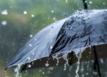 സംസ്ഥാനത്ത് ശക്തമായ മഴയ്ക്ക് സാധ്യത; ഇന്ന് അഞ്ച് ജില്ലകളിൽ യെല്ലോ അലേർട്ട്